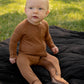 Zippy - Acorn - Solid Brown