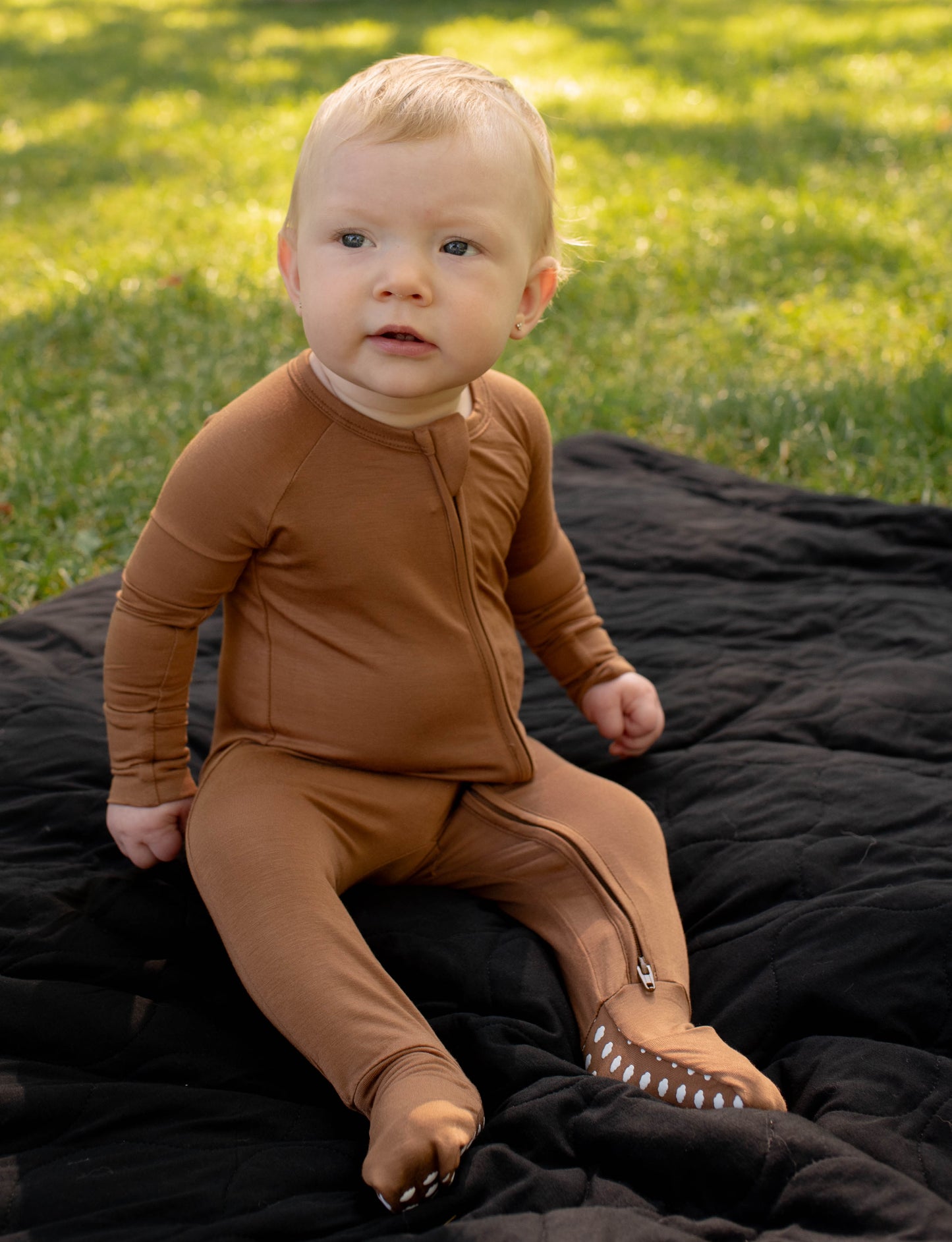 Zippy - Acorn - Solid Brown