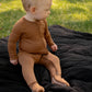 Zippy - Acorn - Solid Brown