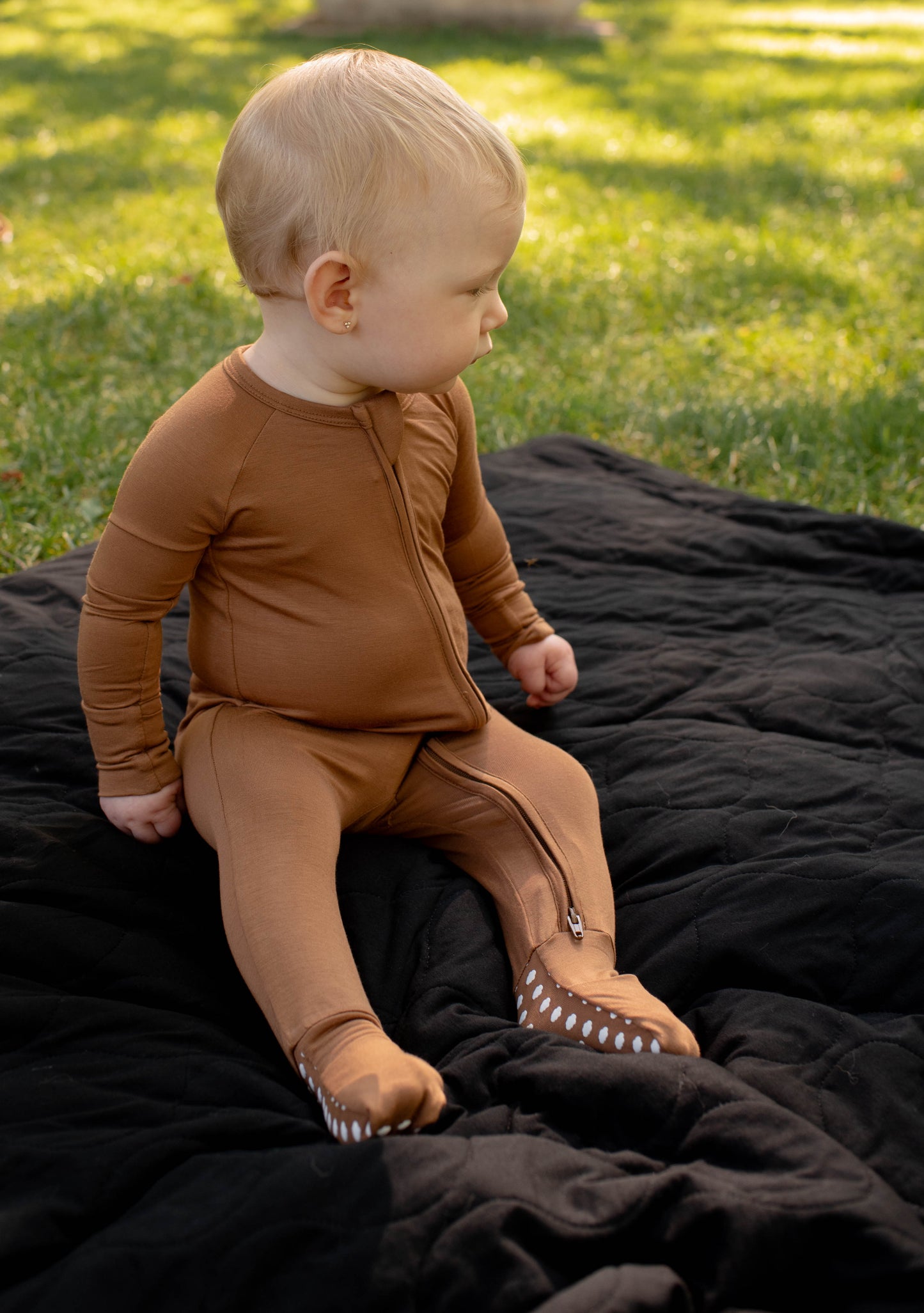 Zippy - Acorn - Solid Brown